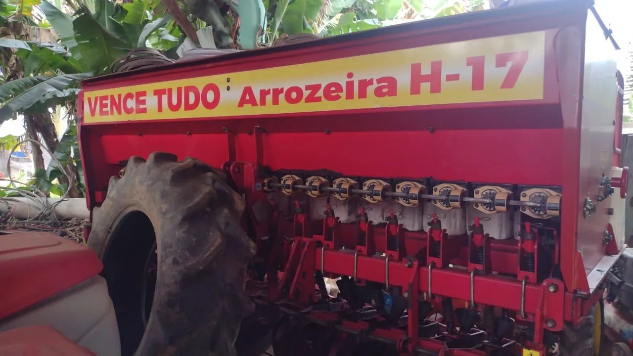 Arrozeira 