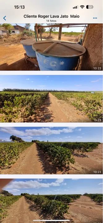 Fazenda de café próximo patrocínio  - Foto 3