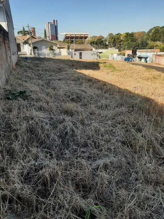 Terreno Vila Estrela - Esquina  - 750 m2 - Foto 4