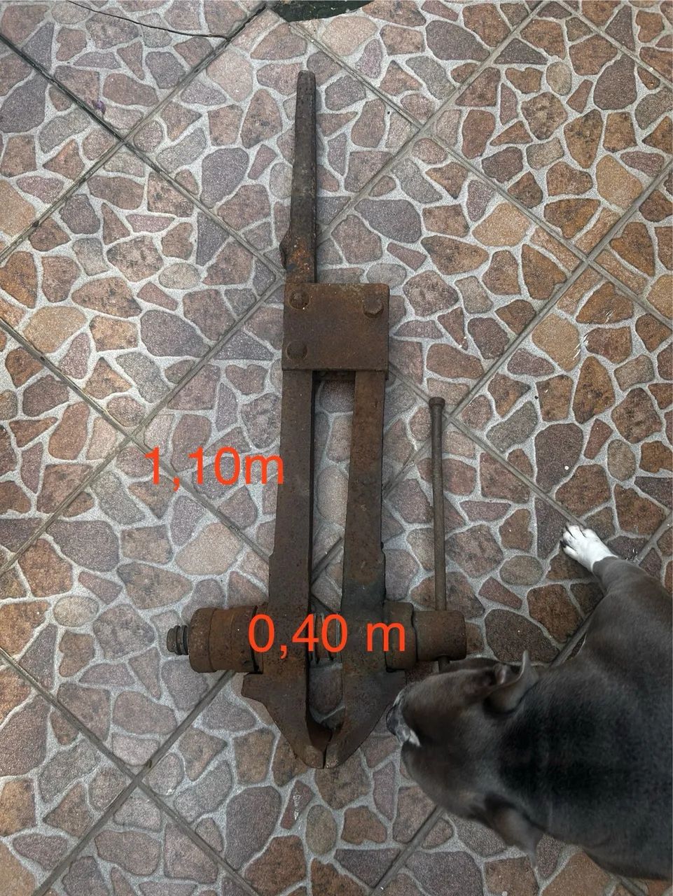 Morsa - Foto 3