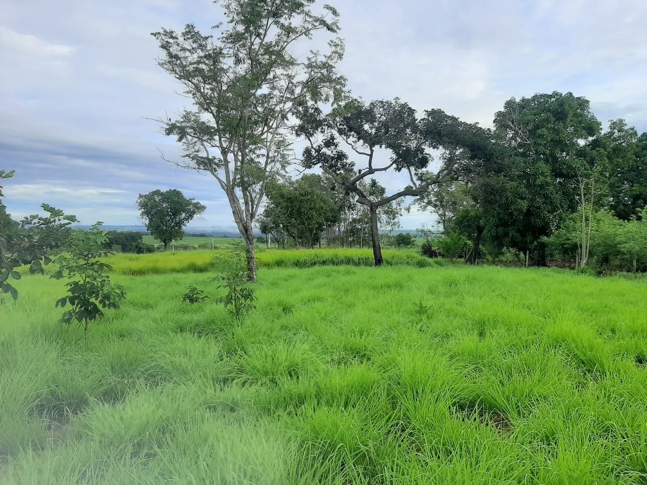 Chácara em Rondonópolis/São Lourenço