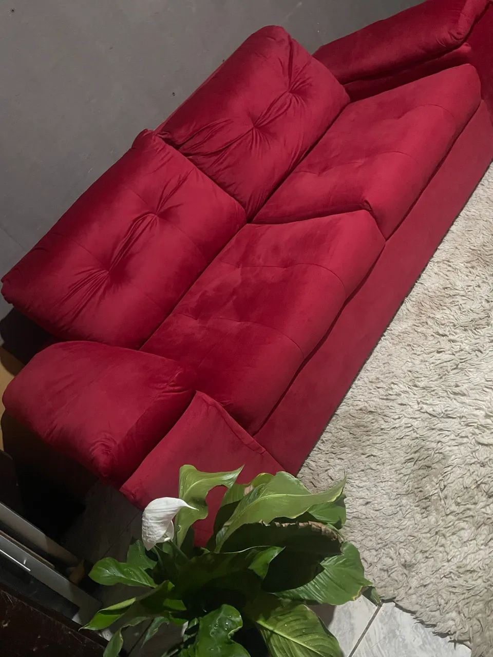Sofá novo 1.400,0065566187261186120
