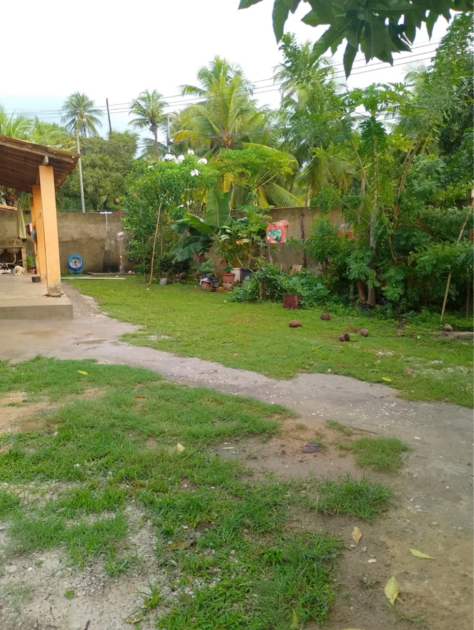 VENDO CHÁCARA EM ANINGAS 180 MIL
