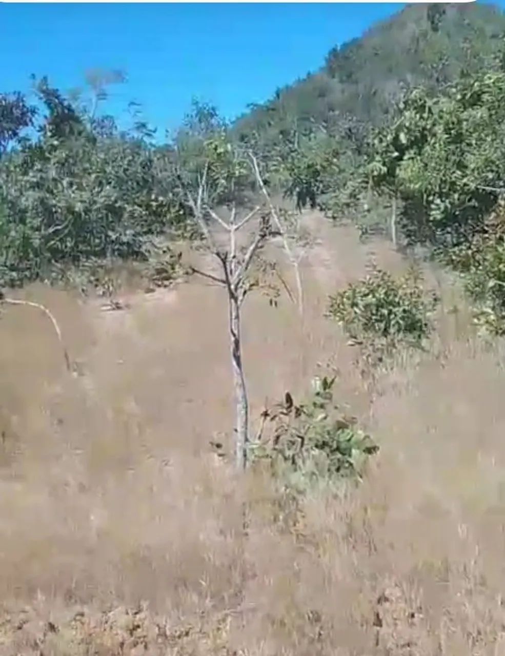 Foto - Várzea Grande - Ikaray