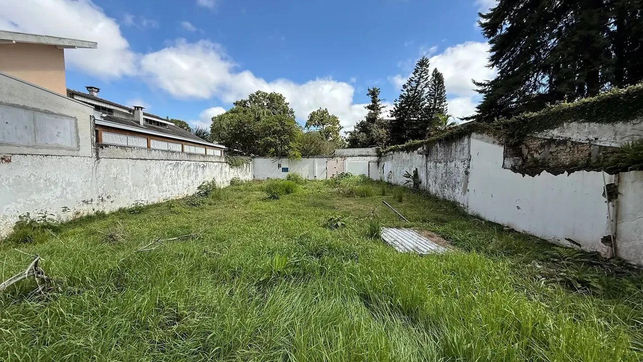 Terreno Venda  - Hugo Langue - Foto 6