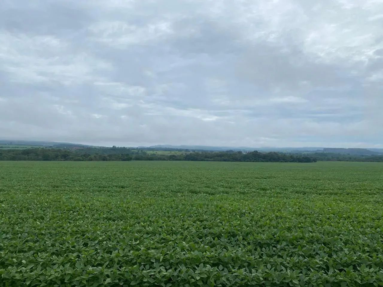 Fazenda dupla aptidão 34 alqueires,Itaberaí - Foto 2