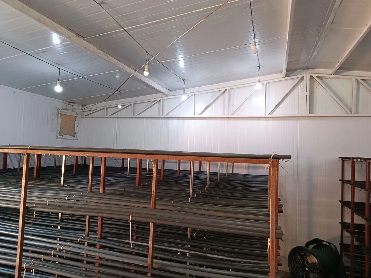 Galpão para produção controlada - Estava com Cogumelos  - Foto 3