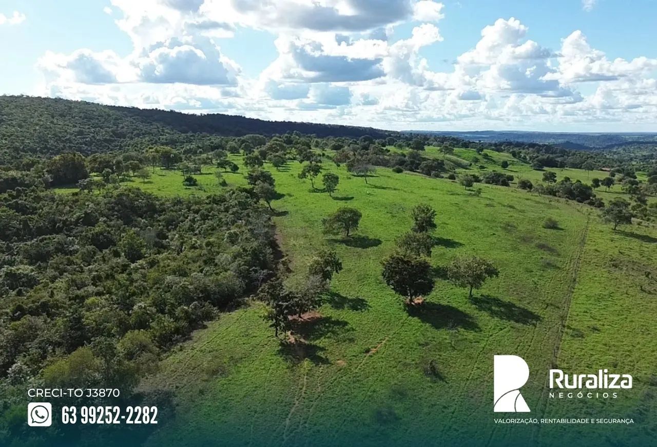 Colinas - TO Ideal para quem busca investir em pecuária com praticidade e excelente acesso - Foto 3