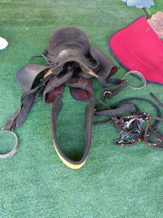 Conjunto de Sela e Freio - Foto 3