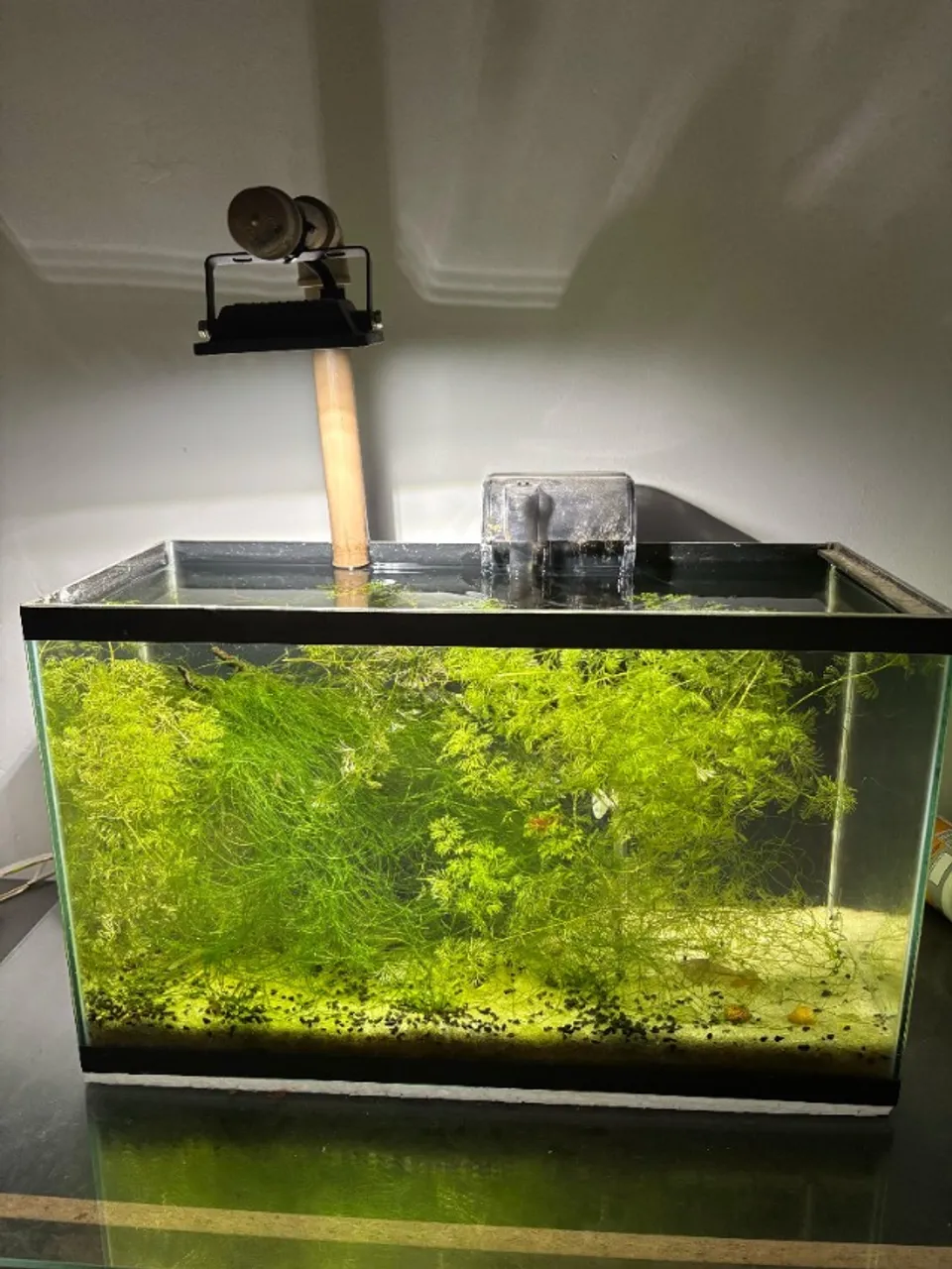 Aquário 25 litros completo