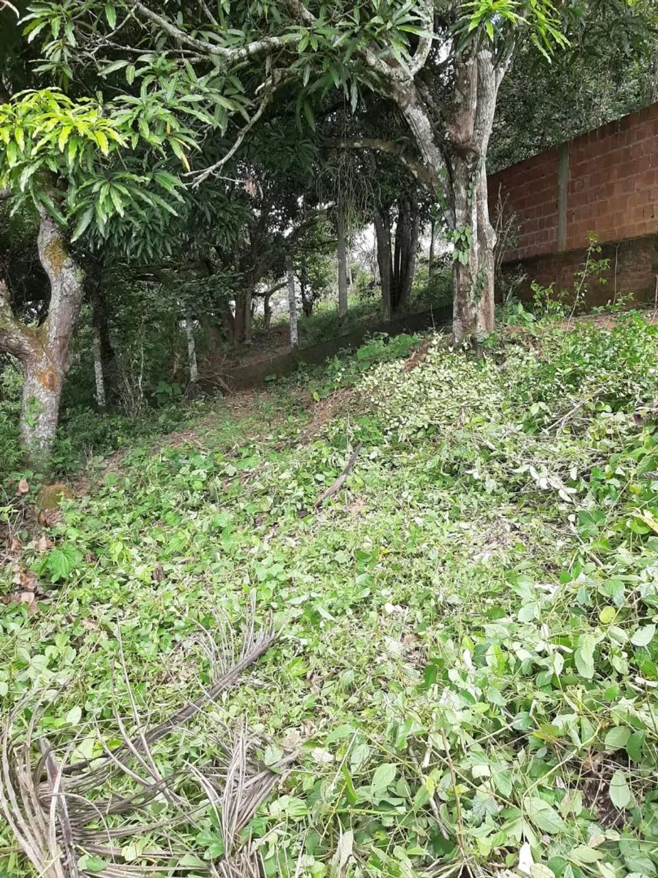 Terreno  Santa Mônica(aceito valor parcelado +entrada))