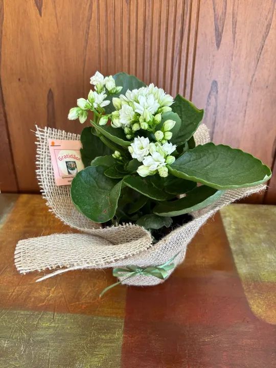 Arranjos naturais para decoração de mesas e lembranças  - Foto 3