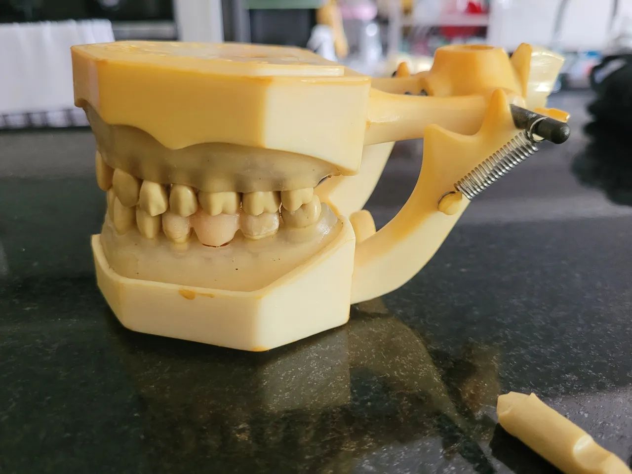 manequim periodontia - Foto 3