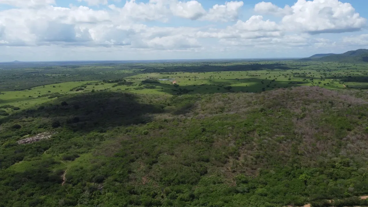 Imóvel para venda com 484 HECTARES - Salgado de São Félix - PB
