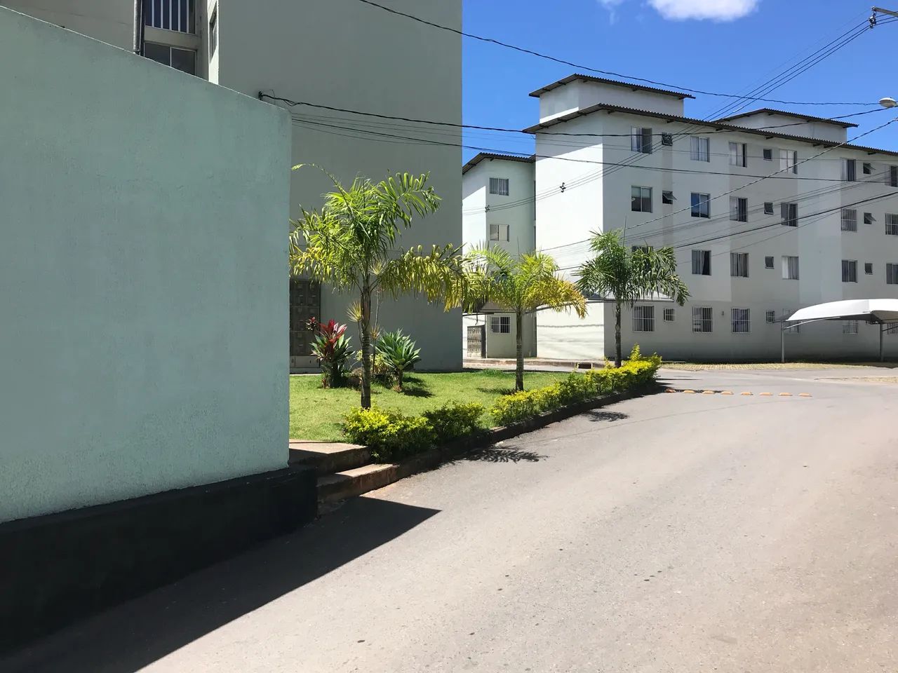 Foto - Vespasiano - Jequitibá