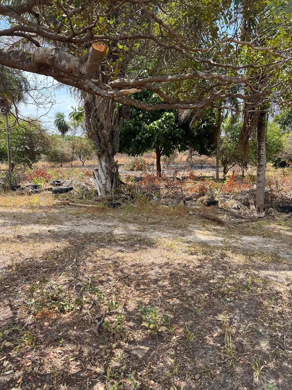 Terreno em Ribamar 40.000 metros  - Foto 14