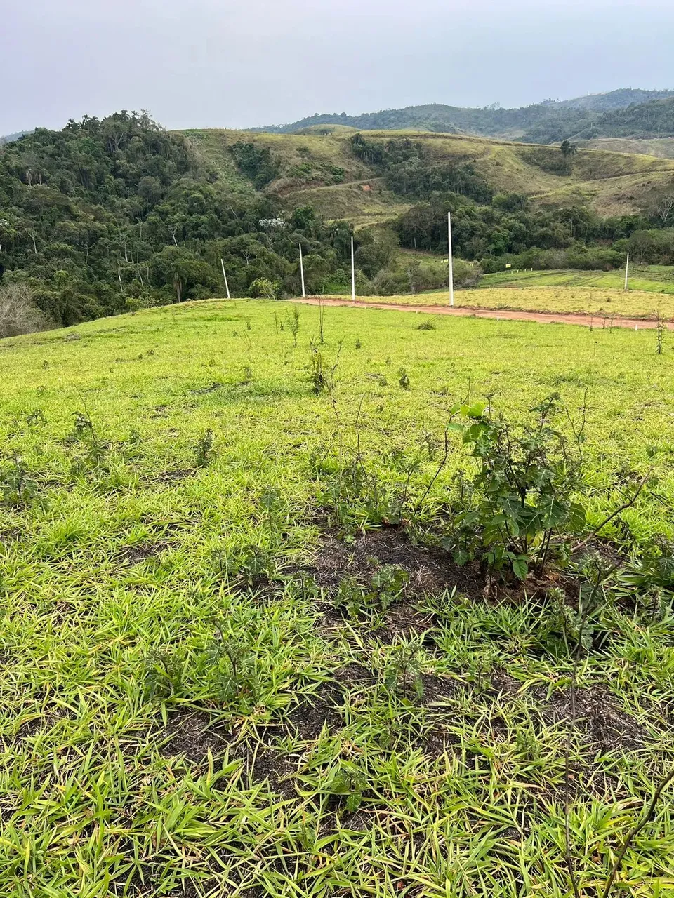 Lotes com valores promocional