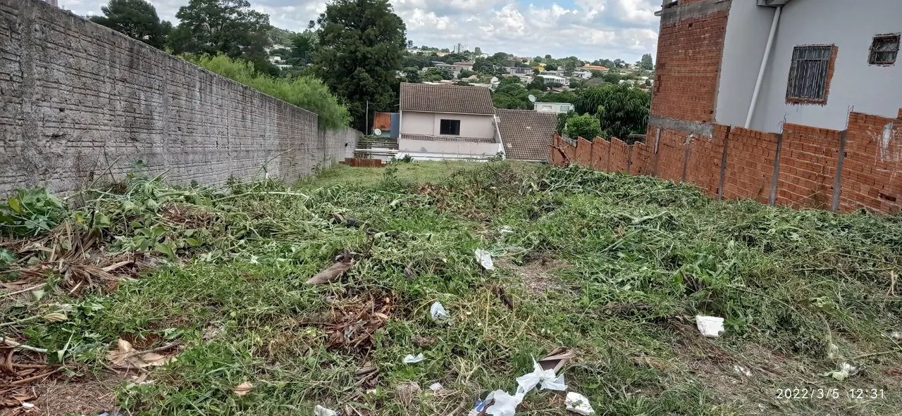 Foto - Cascavel - Canadá