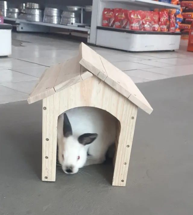 Casa Toca Mini Coelho Hamster Chinchila Porquinho da Índia