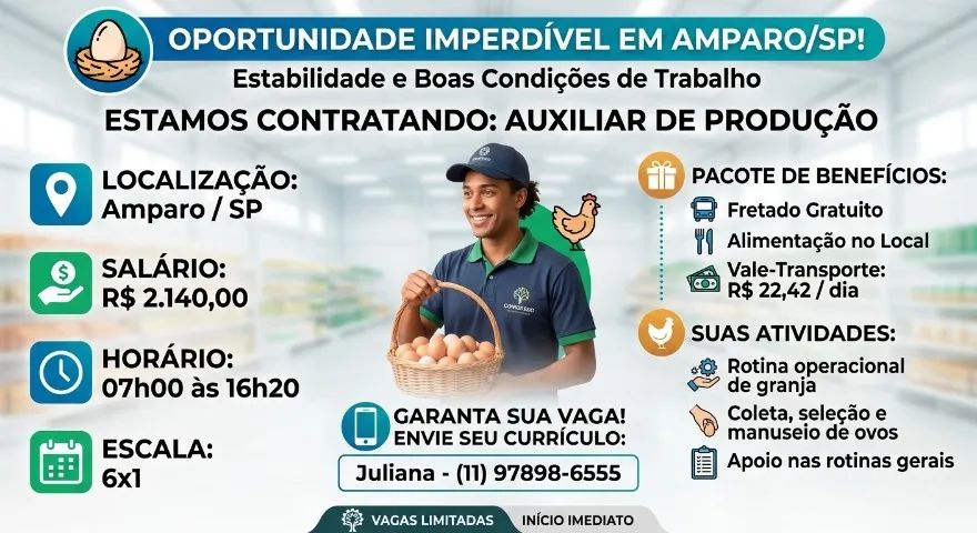 Auxiliar de Produção 