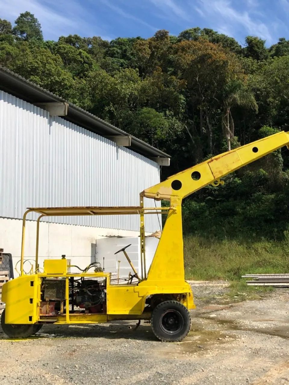 Guincho canarinho  - Foto 3