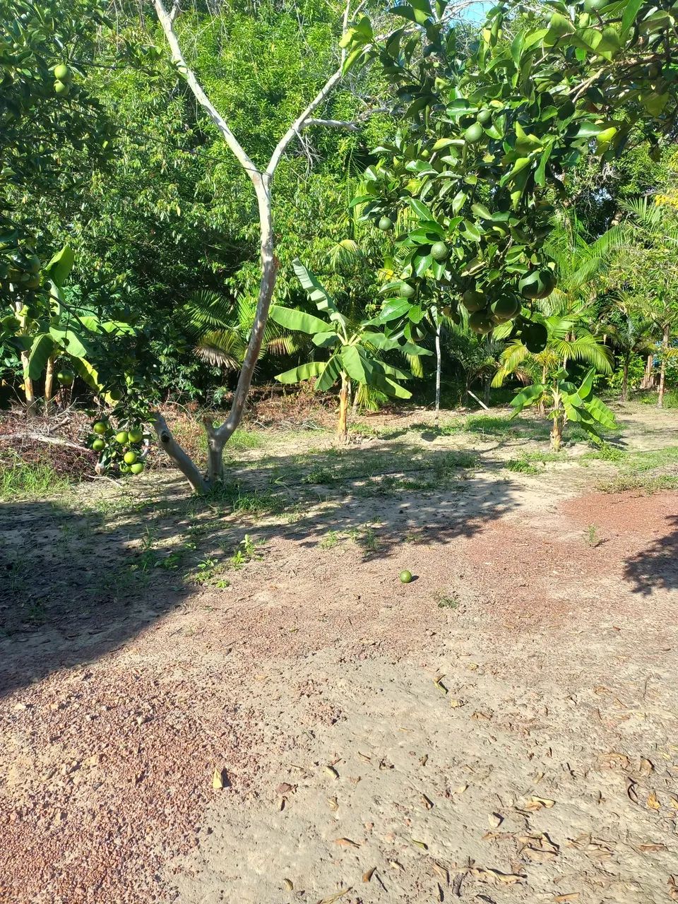 Doc. Recibo de compra e venda  - Foto 5