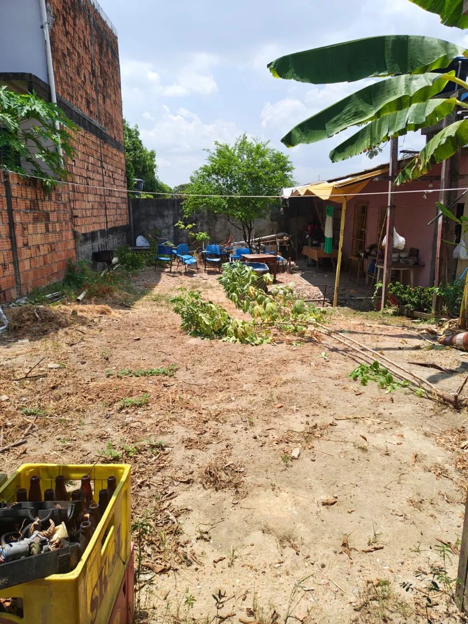 Terreno na colônia terra nova  - Foto 2