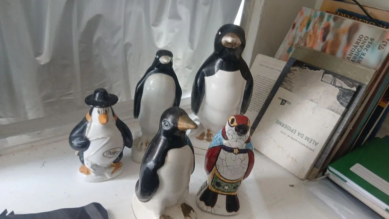 Lote de pinguins