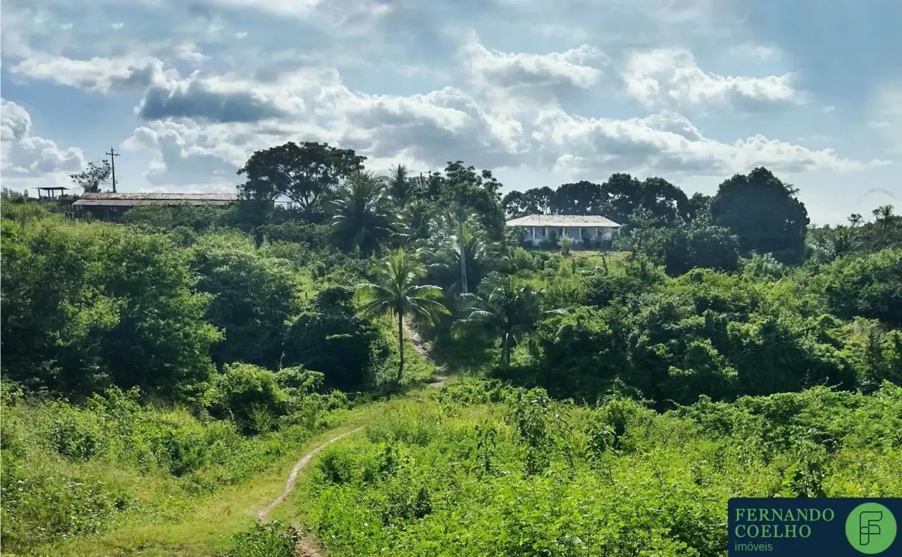 Fazenda de 23,0ha em Guaiúba-CE - Foto 3