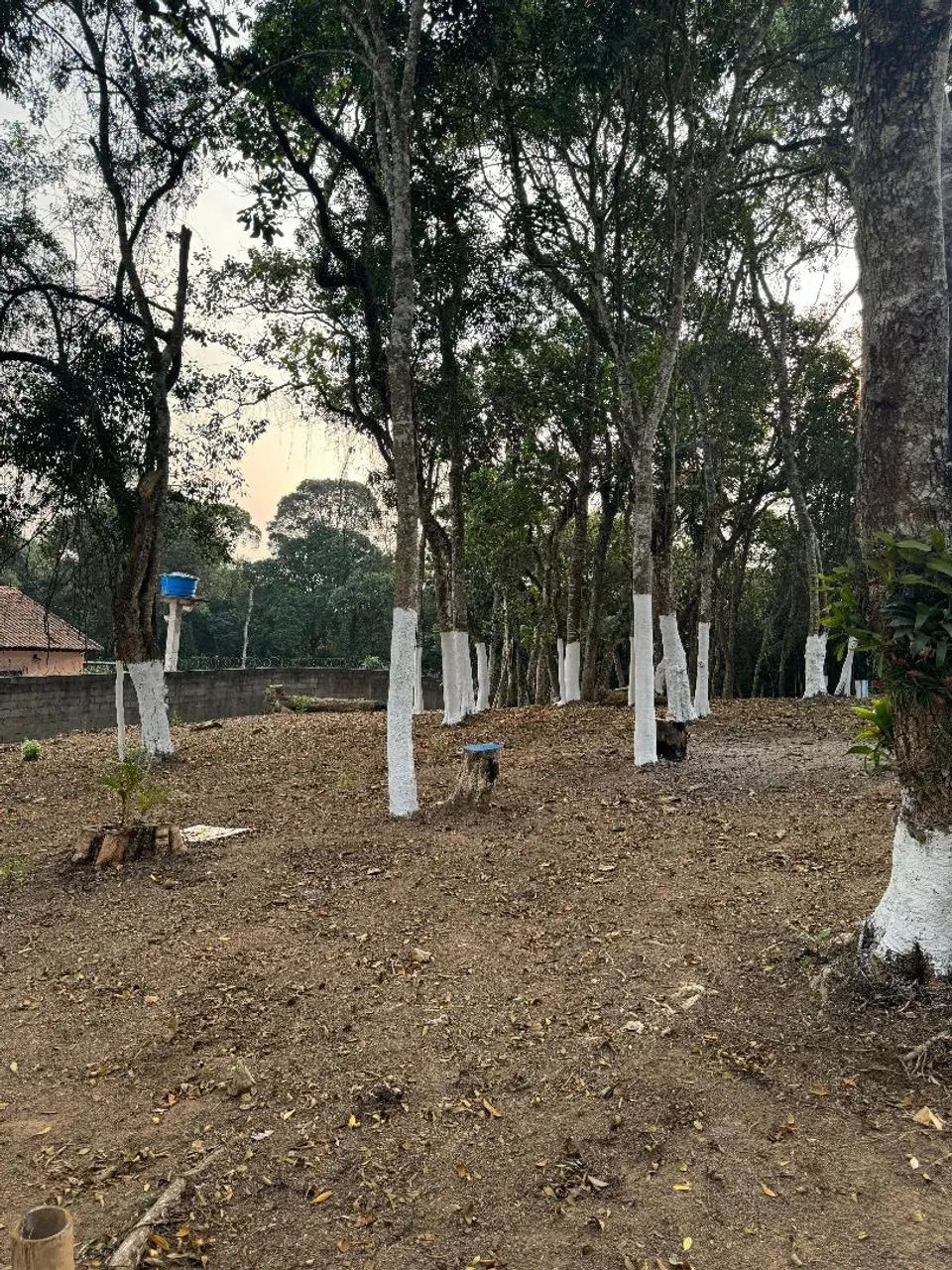 Excelente Terreno em Suzano 1700mts - Foto 4