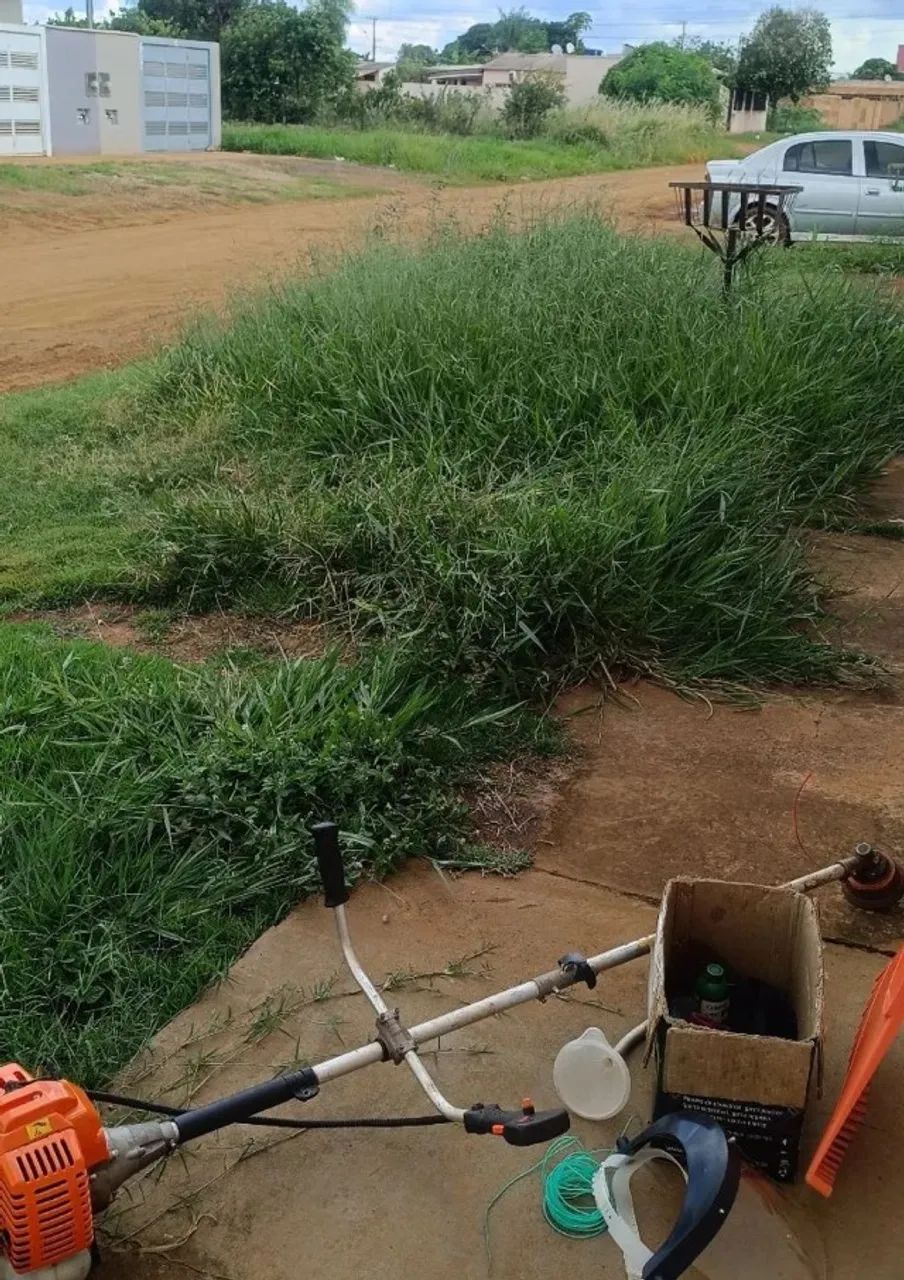 Limpeza de quintal com roçadeira e carretinha - Foto 4