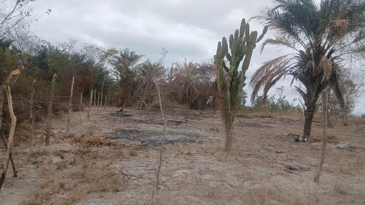 Área para sitio. - Foto 4