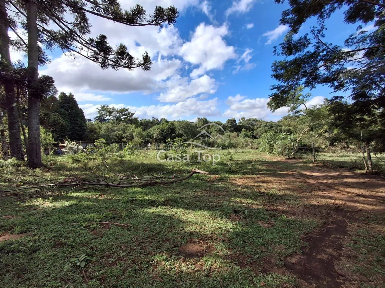 Terreno à venda Carambeí - Foto 4