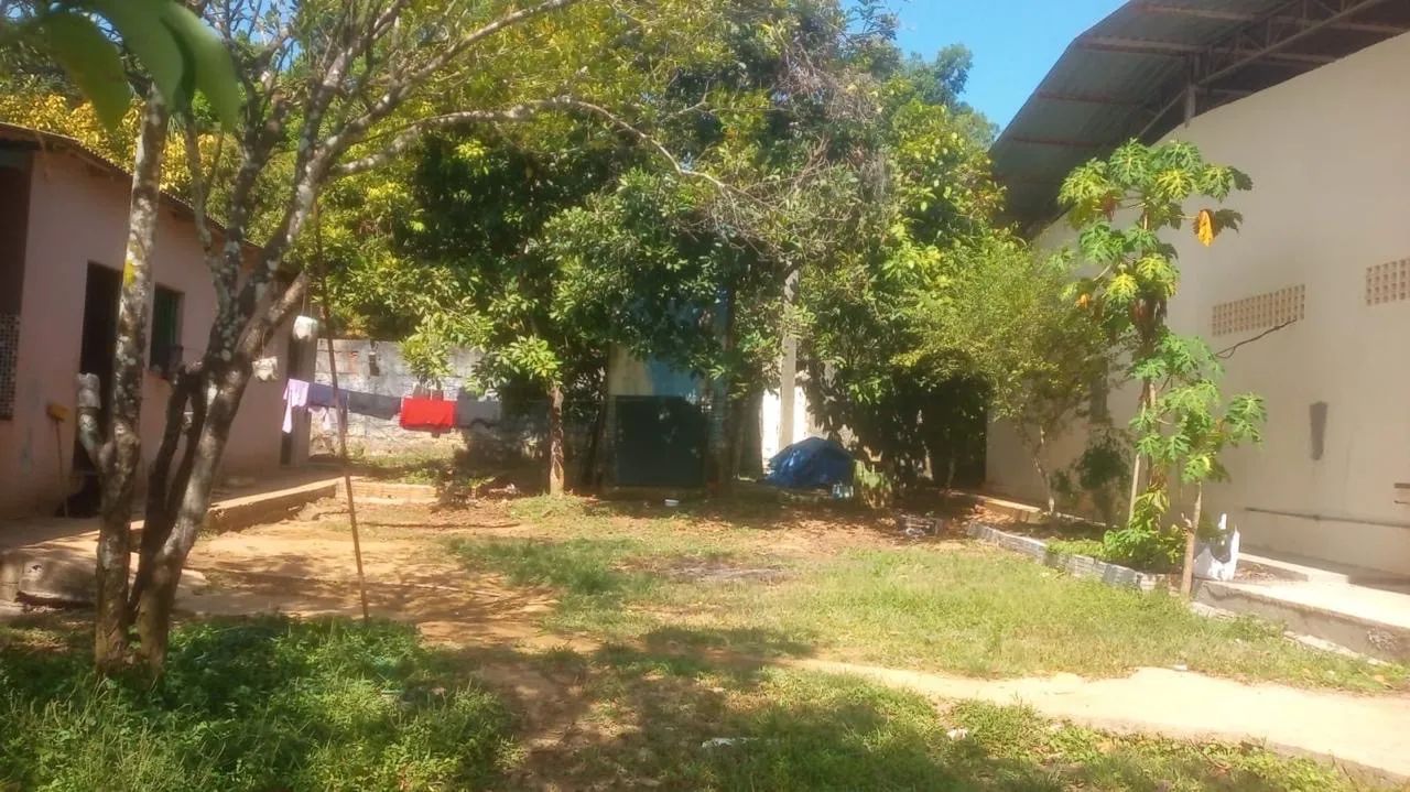 Vendo chácara na Am-010 com 1 hectar  - Foto 4