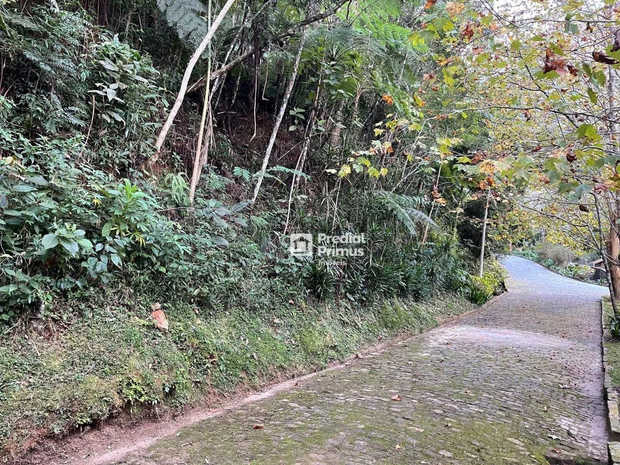 Terreno com RGI , 2345 m² à venda por R$ 350.000 - Mury - Nova Friburgo/RJ - Foto 5