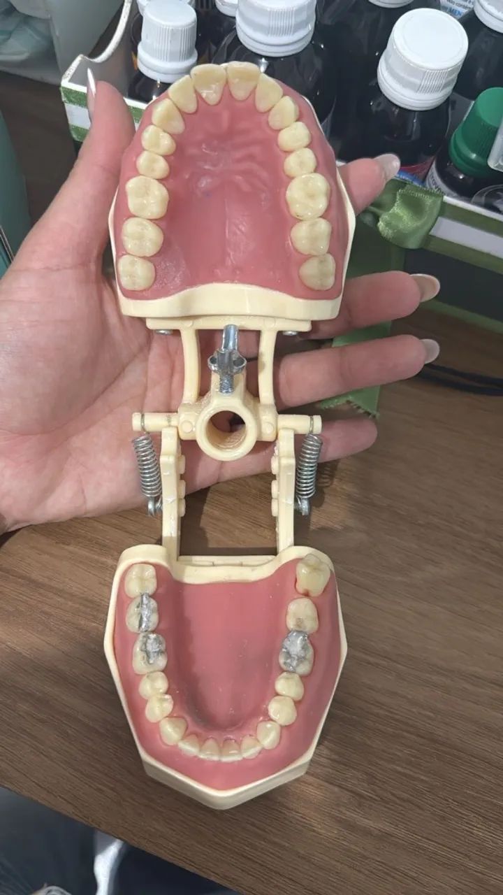 Manequim Odontológico - Orais - Foto 3