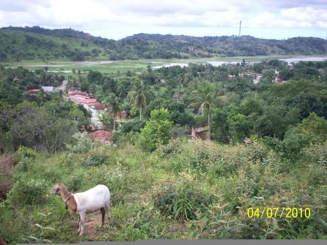 A GRADE OFERTA IMPERDIVEL  - Foto 10