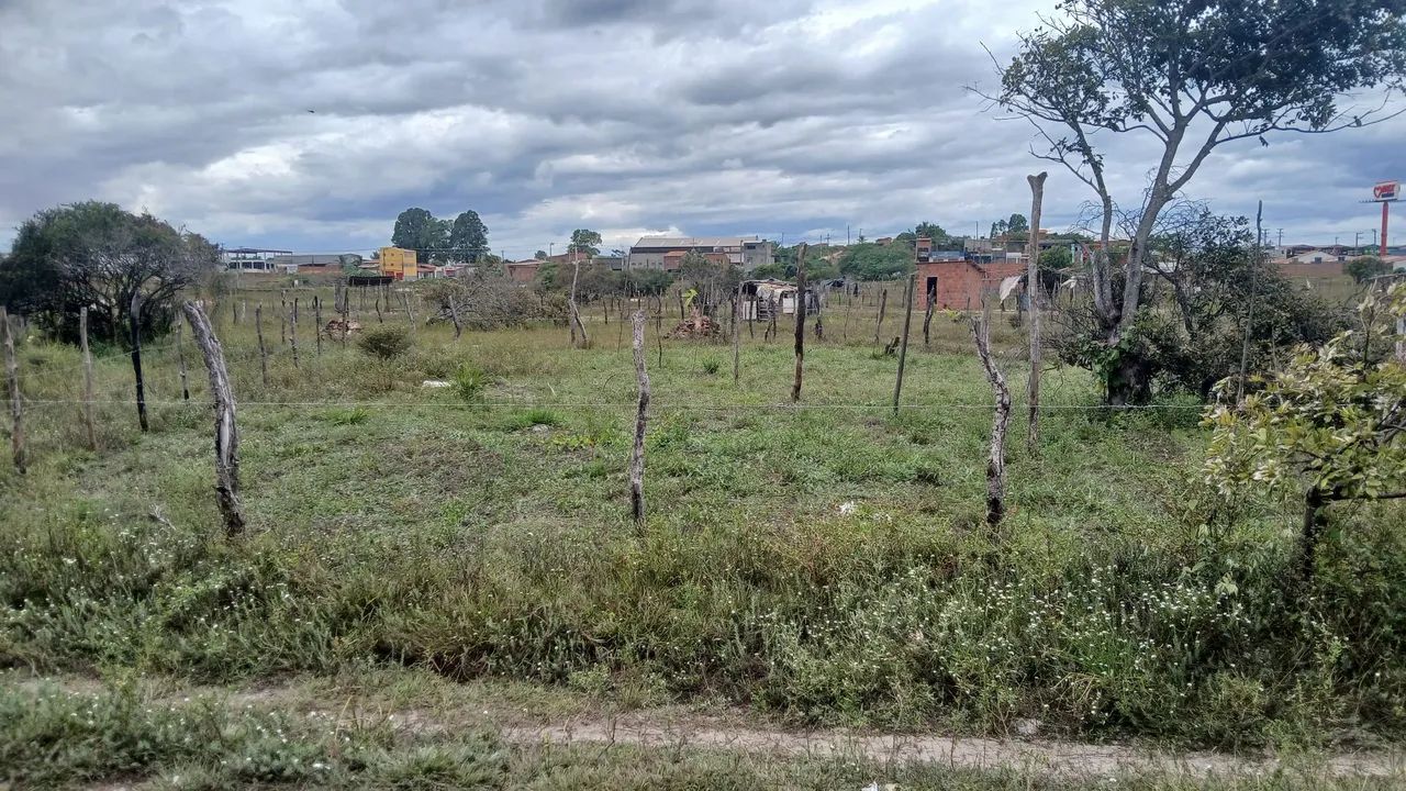 Terreno próximo ao mix Mateus Barreirinhas  - Foto 4