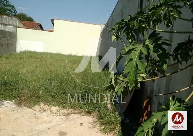 Terreno (terreno normal) - Foto 3