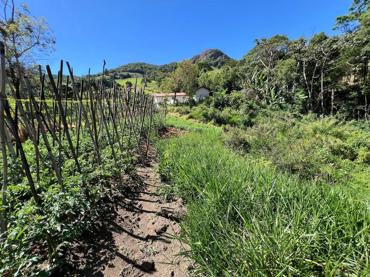 Terreno  pedra vermelha  - Foto 3
