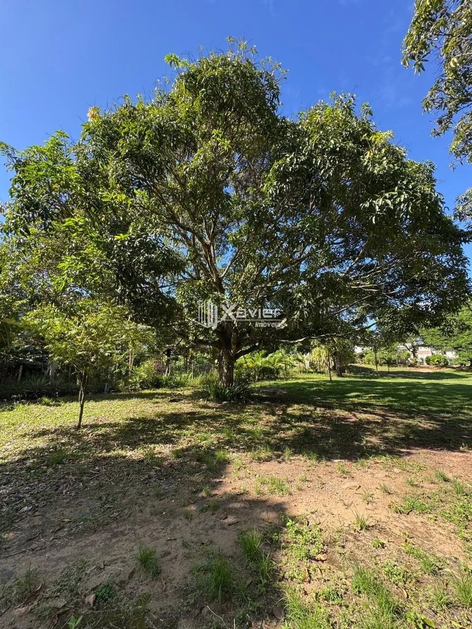 Chácara Escriturada com 6.500 m², Nascente, 2 Lagoas e Árvores Frutíferas à Venda no Jabar - Foto 8