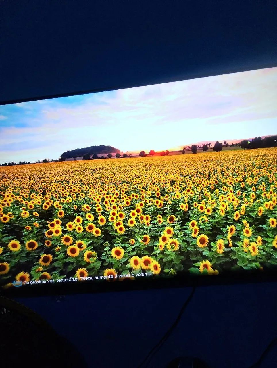 Tv 50 Samsung nova