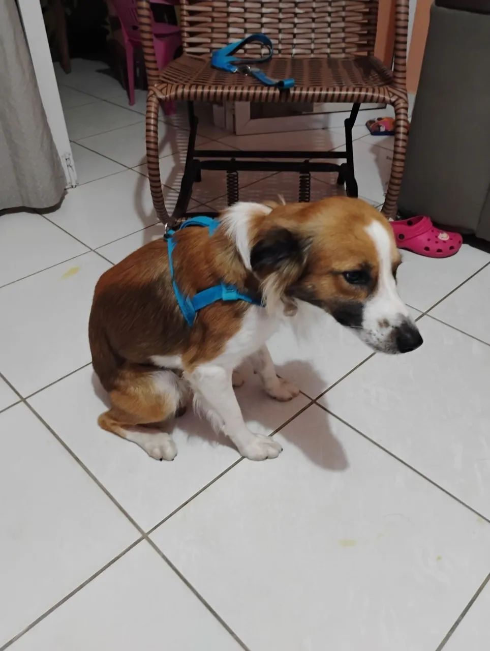 DOAÇÃO 