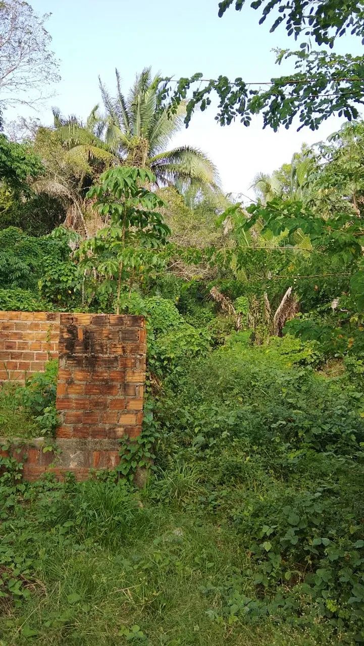 Terreno no gapara  - Foto 2