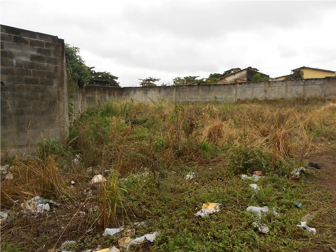 terreno - Cidade Jardim - Campinas - Foto 2