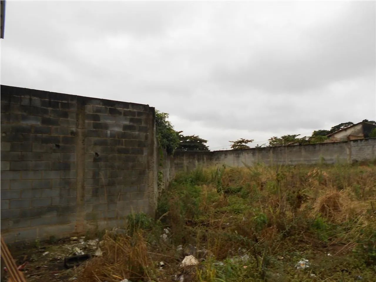 terreno - Cidade Jardim - Campinas - Foto 4