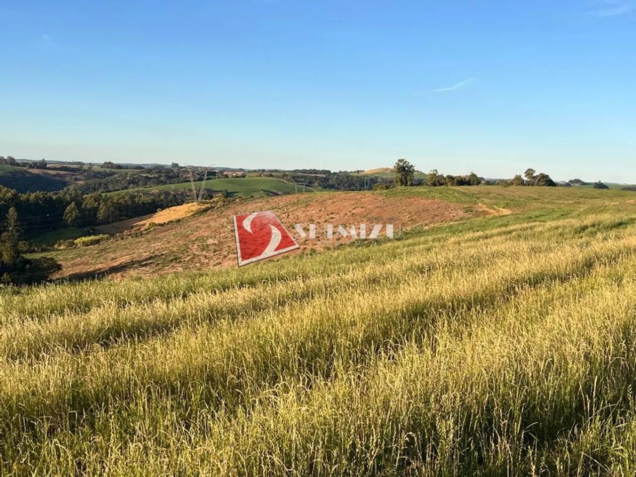 Fazenda à venda em Nova Tebas, Centro, com 1 quarto, com 1104000 m² - Foto 5