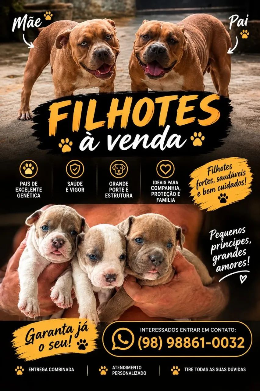 Filhotes de pitmonster 