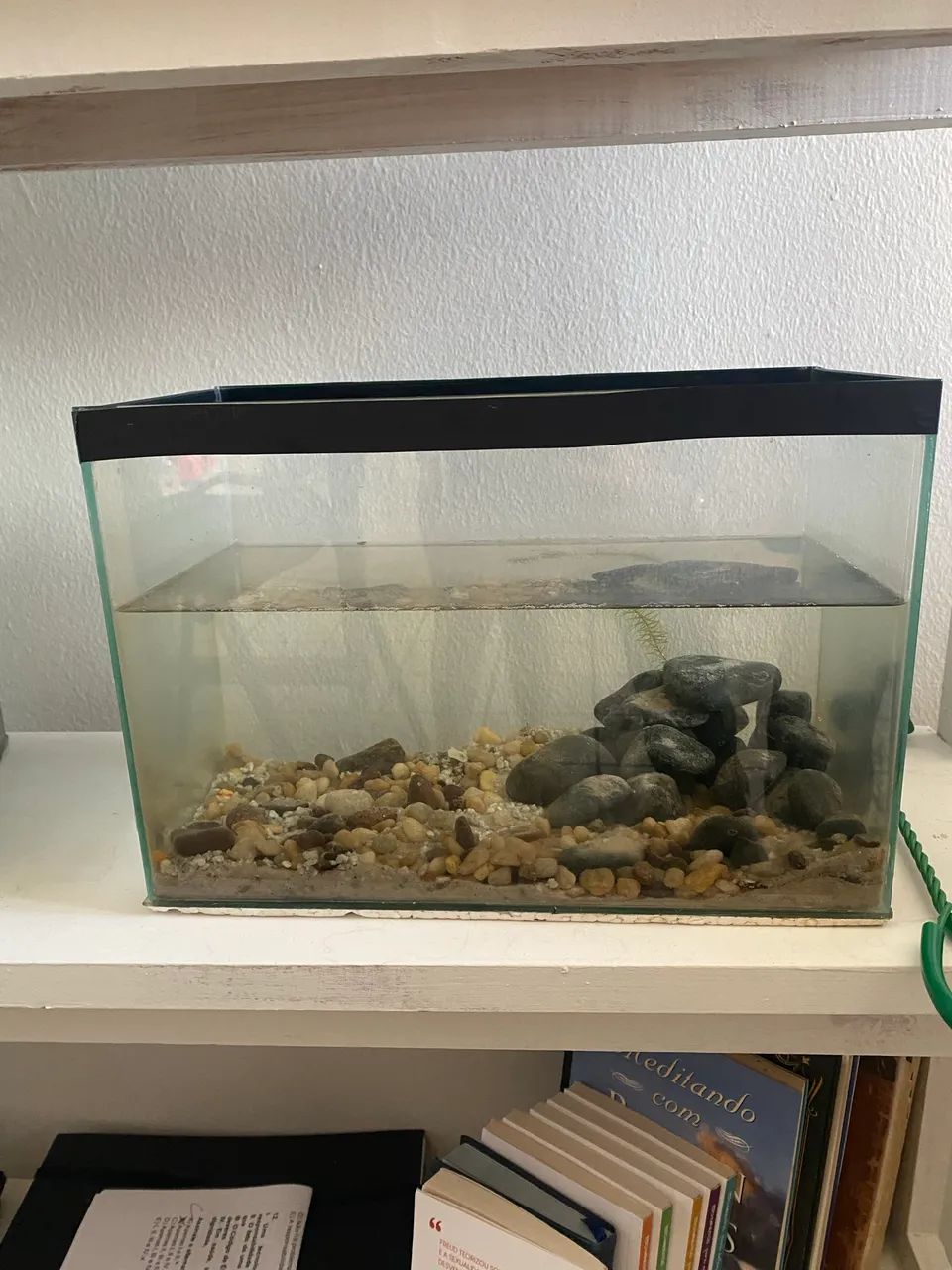 Aquário 