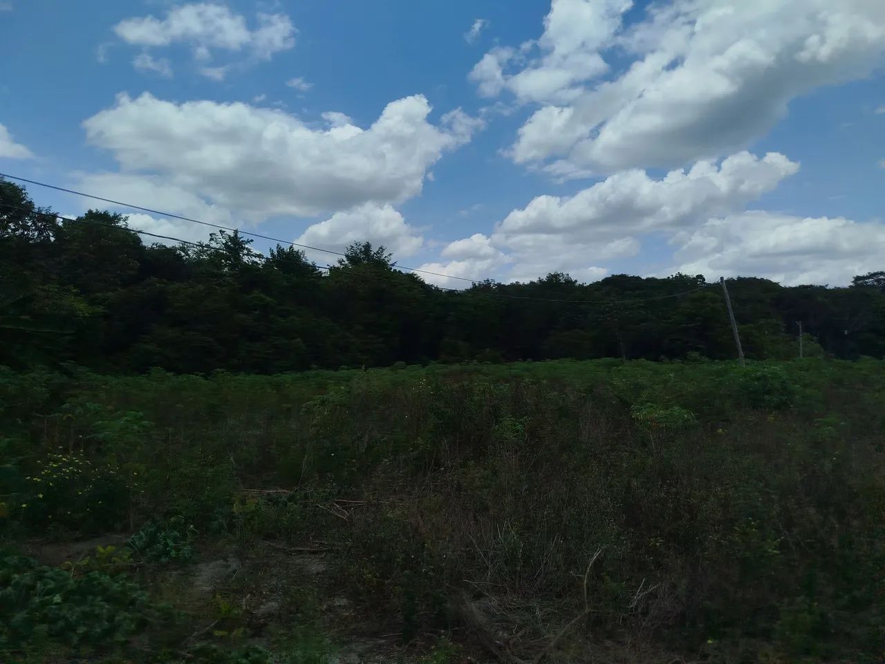 Sitio Rural 